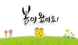 봄이왔어요, 병아리, 노랑병아리, 들판, 잔디밭, 사진,이미지,일러스트,캘리그라피 - 클릭디자인작가 크라우드픽 - 저작권 걱정 없는 상업용 이미지
