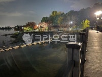 서호공원, 가을밤낙엽, water, 물, outdoors, 사진,이미지,일러스트,캘리그라피 - 별난남자작가 크라우드픽 - 저작권 걱정 없는 상업용 이미지
