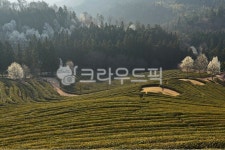 rural, 농촌, farm, 농장, nature, 사진,이미지,일러스트,캘리그라피 - 영산공작가 크라우드픽 - 저작권 걱정 없는 상업용 이미지