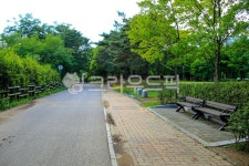 난지천공원, 숲, 공원, 길, 아스팔트, 사진,이미지,일러스트,캘리그라피 - imlover작가 크라우드픽 - 저작권 걱정 없는 상업용 이미지