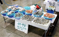 수산시장, 새우, 껍질, 날것, 독도새우, 사진,이미지,일러스트,캘리그라피 - ddong작가 크라우드픽 - 저작권 걱정 없는 상업용 이미지