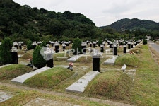 묘, 묘지, 무덤, 산소, 공동묘지, 사진,이미지,일러스트,캘리그라피 - youngwon작가 크라우드픽 - 저작권 걱정 없는 상업용 이미지