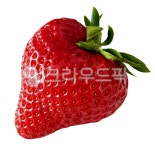 딸기, strawberry, strawberrypicture, 딸기누끼, 딸기png, 사진,이미지,일러스트,캘리그라피 - good smile작가 크라우드픽 - 저작권 걱정... 