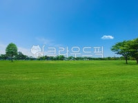 환경, 평원, 평지, 초원, 풀밭, 사진,이미지,일러스트,캘리그라피 - helloseed작가 크라우드픽 - 저작권 걱정 없는 상업용 이미지