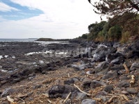 망장포구, 바다, 해변, 올레5코스, 올레길, 사진,이미지,일러스트,캘리그라피 - Deep bLUE작가 크라우드픽 - 저작권 걱정 없는 상업용 이미지