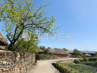 낙압읍성, 시골길, 옛날길, 초가집, 길, 사진,이미지,일러스트,캘리그라피 - day0608작가 크라우드픽 - 저작권 걱정 없는 상업용 이미지