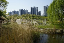 봄, 계절, 자연, 산책길, 공원, 사진,이미지,일러스트,캘리그라피 - 시처럼찰칵작가 크라우드픽 - 저작권 걱정 없는 상업용 이미지