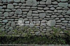 wall, 벽, stonewall, 돌담, 식물, 사진,이미지,일러스트,캘리그라피 - morning12작가 크라우드픽 - 저작권 걱정 없는 상업용 이미지
