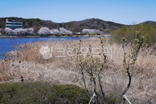 신정호수공원, 아산신정호수공원, 인공호수, 저수지, 신정호, 사진,이미지,일러스트,캘리그라피 - Deep bLUE작가 크라우드픽 - 저작권 걱정 없는... 