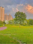 자연, 풍경, 공원, 도시, nature, 사진,이미지,일러스트,캘리그라피 - kimsm333777작가 크라우드픽 - 저작권 걱정 없는 상업용 이미지