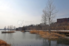 천호지, 단대호수, 안서호, 천안, 저수지, 사진,이미지,일러스트,캘리그라피 - Deep bLUE작가 크라우드픽 - 저작권 걱정 없는 상업용 이미지