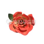 장미, rose, 꽃, flower, 자연, 사진,이미지,일러스트,캘리그라피 - 륄다방작가 크라우드픽 - 저작권 걱정 없는 상업용 이미지