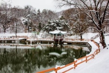자연, nature, 옥외, outdoors, 정자, 사진,이미지,일러스트,캘리그라피 - studio H작가 크라우드픽 - 저작권 걱정 없는 상업용 이미지