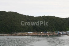 남해, 바다, 가두리, 양식장, 풍경, 사진,이미지,일러스트,캘리그라피 - 양기리작가 크라우드픽 - 저작권 걱정 없는 상업용 이미지