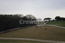 목장, 풍경, 울타리, 하늘, 나무, 사진,이미지,일러스트,캘리그라피 - 귀리작가 크라우드픽 - 저작권 걱정 없는 상업용 이미지