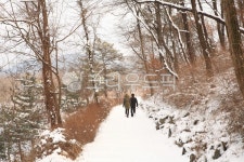 겨울, 전주, 완산칠봉, 산책, 산책길, 사진,이미지,일러스트,캘리그라피 - irum작가 크라우드픽 - 저작권 걱정 없는 상업용 이미지