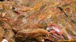 아구, 아귀, 생선, 물고기, 해물, 사진,이미지,일러스트,캘리그라피 - BUSAN OPPA작가 크라우드픽 - 저작권 걱정 없는 상업용 이미지