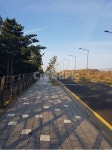 제주도, 서귀포, 오르막길, 나무, 구름, 사진,이미지,일러스트,캘리그라피 - 허수아비작가 크라우드픽 - 저작권 걱정 없는 상업용 이미지
