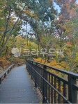 산책로, 다리, 단풍, 둘레길, boardwalk, 사진,이미지,일러스트,캘리그라피 - qorwh작가 크라우드픽 - 저작권 걱정 없는 상업용 이미지