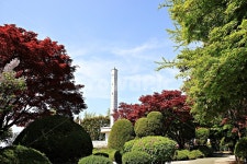 수봉공원, 공원, 현충탑, 자연, 풍경, 사진,이미지,일러스트,캘리그라피 - 함께사는세상작가 크라우드픽 - 저작권 걱정 없는 상업용 이미지