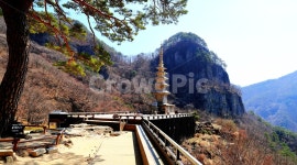 도립공원, 청량산, 절, 산, 청량사, 사진,이미지,일러스트,캘리그라피 - 가는세월작가 크라우드픽 - 저작권 걱정 없는 상업용 이미지