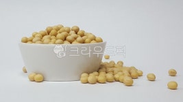 콩, 백태, 메주콩, 그릇, bean, 사진,이미지,일러스트,캘리그라피 - makeupjoung작가 크라우드픽 - 저작권 걱정 없는 상업용 이미지