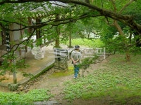 산책하는남자, 담양, 툇마루, 오래된정원, 정원, 사진,이미지,일러스트,캘리그라피 - 오후의사진관작가 크라우드픽 - 저작권 걱정 없는 상업용 이미지