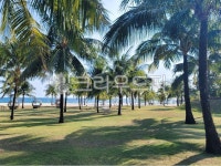 여름, 여름의, 여름감성, 휴양지, 야자수, 사진,이미지,일러스트,캘리그라피 - raining_sea작가 크라우드픽 - 저작권 걱정 없는 상업용 이미지