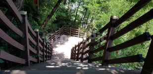 도화동, 수봉공원, 나무, 길, 인천, 사진,이미지,일러스트,캘리그라피 - 피오나작가 크라우드픽 - 저작권 걱정 없는 상업용 이미지