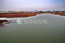 소래습지생태공원, 생태공원, 염생습지, 함초, 인천, 사진,이미지,일러스트,캘리그라피 - Deep bLUE작가 크라우드픽 - 저작권 걱정 없는 상업용... 