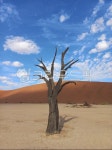 나미비아사막, desert, 사막, 모래, 하늘, 사진,이미지,일러스트,캘리그라피 - ggakddog작가 크라우드픽 - 저작권 걱정 없는 상업용 이미지