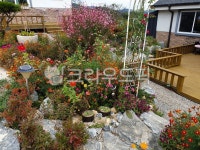 바늘꽃, 메리골드, 돌계단, 데크집, 정원집, 사진,이미지,일러스트,캘리그라피 - 산청달빛작가 크라우드픽 - 저작권 걱정 없는 상업용 이미지