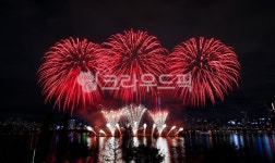 불꽃놀이, 폭죽, 불꽃축제, 한강, 폭죽놀이, 사진,이미지,일러스트,캘리그라피 - Ncadenza123작가 크라우드픽 - 저작권 걱정 없는 상업용 이미지