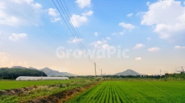 시골, 시골풍경, 풍경, 하늘, 논, 사진,이미지,일러스트,캘리그라피 - applebrown작가 크라우드픽 - 저작권 걱정 없는 상업용 이미지