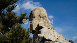 tree, 사모바위, 하늘, 구름, 소나무, 사진,이미지,일러스트,캘리그라피 - 웅장작가 크라우드픽 - 저작권 걱정 없는 상업용 이미지