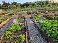 텃밭, 정원, garden, 자연, 토양, 사진,이미지,일러스트,캘리그라피 - happyean작가 크라우드픽 - 저작권 걱정 없는 상업용 이미지