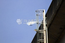 새, 조류, 하늘, 파란하늘, 두루미, 사진,이미지,일러스트,캘리그라피 - Nbocrates68작가 크라우드픽 - 저작권 걱정 없는 상업용 이미지