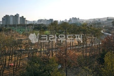 천안축구센터, 축구센터, 천안, 운동장, 생활체육공원, 사진,이미지,일러스트,캘리그라피 - Deep bLUE작가 크라우드픽 - 저작권 걱정 없는... 