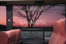 버스, 버스안, 풍경, 색감, 썬팅, 사진,이미지,일러스트,캘리그라피 - deokiiii작가 크라우드픽 - 저작권 걱정 없는 상업용 이미지