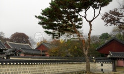 전주, 안정적, 편안함, 전통적, 나무, 사진,이미지,일러스트,캘리그라피 - 퐝태작가 크라우드픽 - 저작권 걱정 없는 상업용 이미지
