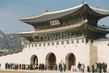 경복궁, 광화문, 궁, 서울, 북촌, 사진,이미지,일러스트,캘리그라피 - 박지성작가 크라우드픽 - 저작권 걱정 없는 상업용 이미지