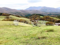 목장, 양떼목장, 대관령, 하늘, 산, 사진,이미지,일러스트,캘리그라피 - 걍조아작가 크라우드픽 - 저작권 걱정 없는 상업용 이미지