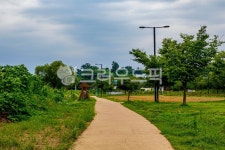 길, 보도, outdoors, 공원, 도로, 사진,이미지,일러스트,캘리그라피 - 감성이야기사진작가작가 크라우드픽 - 저작권 걱정 없는 상업용 이미지