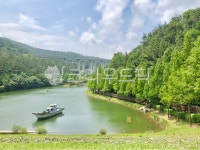 부산, 공원, 초록, 여름, 호수, 사진,이미지,일러스트,캘리그라피 - dainc작가 크라우드픽 - 저작권 걱정 없는 상업용 이미지