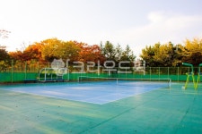 테니스장, 운동, 스포츠, 테니스, sports, 사진,이미지,일러스트,캘리그라피 - studio H작가 크라우드픽 - 저작권 걱정 없는 상업용 이미지