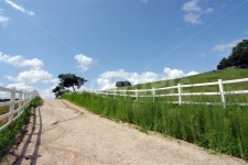 길, 목장, 목장길, 목책, 울타리, 사진,이미지,일러스트,캘리그라피 - 프리이미지작가 크라우드픽 - 저작권 걱정 없는 상업용 이미지