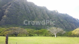 자연, 산, 나무, 배경화면, 환경, 사진,이미지,일러스트,캘리그라피 - 상우작가 크라우드픽 - 저작권 걱정 없는 상업용 이미지