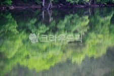 주산지, 경북청송, 호수, 연못, 초록, 사진,이미지,일러스트,캘리그라피 - 고운경작가 크라우드픽 - 저작권 걱정 없는 상업용 이미지