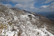 설경, 눈, snow, 무등산, 국립공원, 사진,이미지,일러스트,캘리그라피 - 고운경작가 크라우드픽 - 저작권 걱정 없는 상업용 이미지