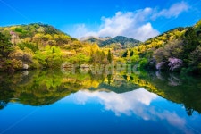 세량지, 세량제, 물, 화순군, 봄, 사진,이미지,일러스트,캘리그라피 - 사진속으로작가 크라우드픽 - 저작권 걱정 없는 상업용 이미지